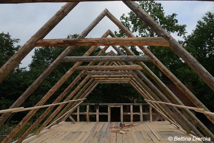 Neu aufgerichteter Dachstuhl aus Holz vor Bäumen